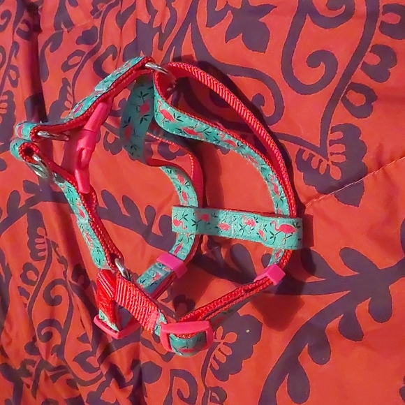 Dog Harness - Picture 2 of 5